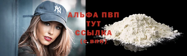 Альфа ПВП Белокуриха