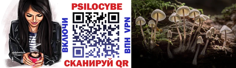 площадка как зайти  где купить наркоту  Ефремов  Галлюциногенные грибы мицелий 